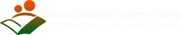 Alternative Education and Development Foundation 